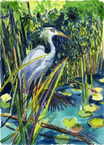 12. Blue Heron Posing - Watercolor - 12 x 9 in