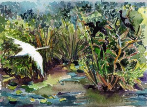 8. Great Egret and Anhingas in Habitat - Watercolor - 9 x 12 in