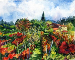 9. Red Vineyard - Watercolor - 9 x 12 in