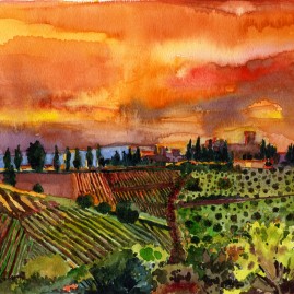 Vineyard Sunset